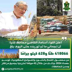 محافظ المنيا يعلن تخطى المستهدف من توريد القمح لهذا العام بنسبة 128.8%