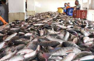 ننشر أسعار الأسماك فى سوق العبور اليوم الاربعاء