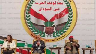 وزير الخارجية: مصر ستستمر فى بذل كل ما فى وسعها لوقف نزيف الدم السودانى