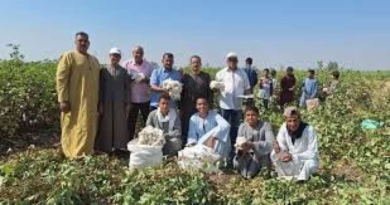 الإرشاد الزراعي