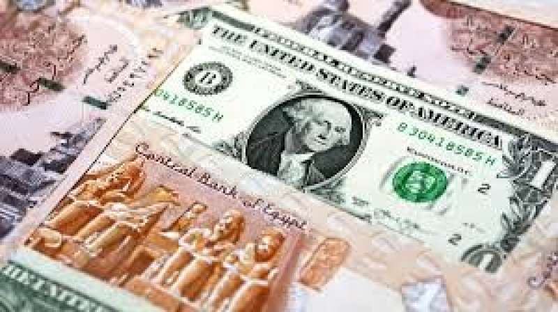 سعر الدولار 