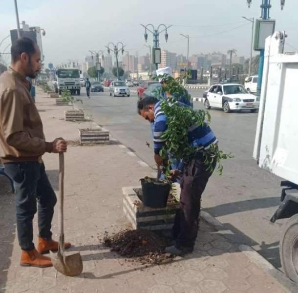 الصباح العربي