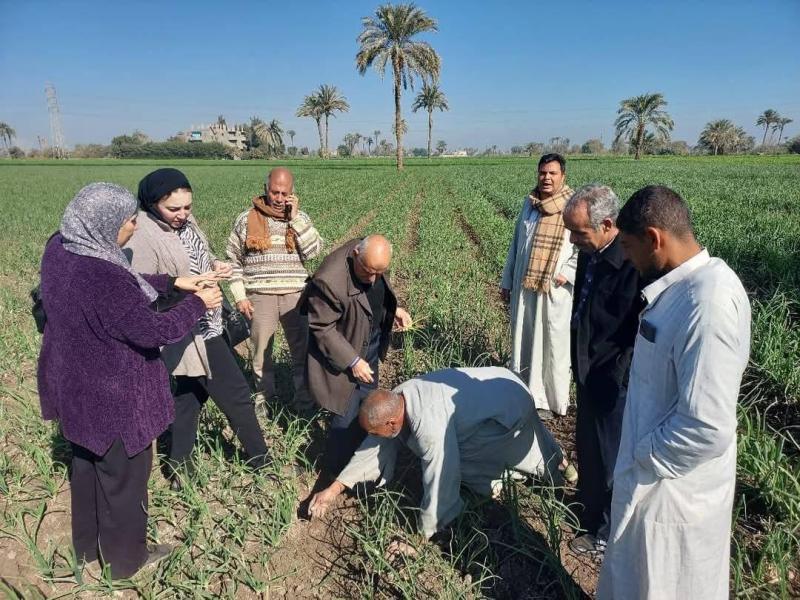 الصباح العربي