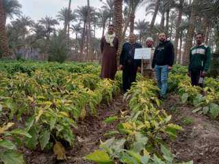 المركزي للزراعة العضوية يدشن اولي التجارب الحقلية لتقييم فاعلية المبيدات الحيوية في مكافحة النيماتودا