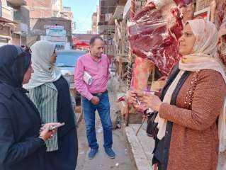 تحرير 20 محضر تموينى وضبط أسماك وكبدة مجمدة غير صالحة للاستهلاك الادمي بشبين الكوم وتلا والسادات